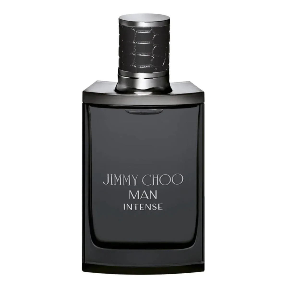 JIMMY CHOO - MAN INTENSE EDT - view 1